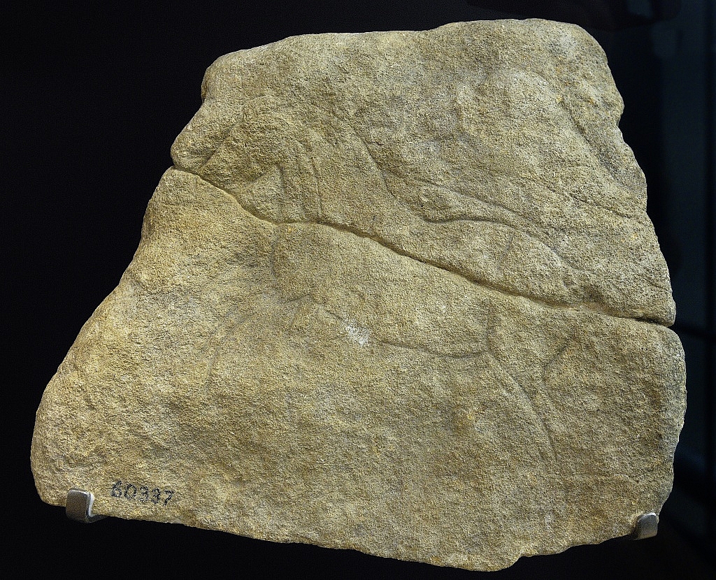 Gravure van een paard, Laat-Paleolithicum, Abri La Madeleine