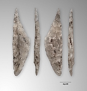 Feuille de gui - maretak-spitsen - mesolithicum