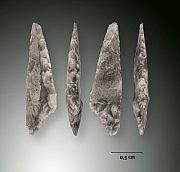 Feuille de gui - maretak spits - mesolithicum