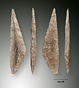 Feuille de gui - maretak spits - mesolithicum